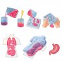 CLEMENTONI SCIENCE PLAY LAB Squishy Анатомия
