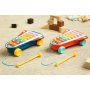 Образователна Играчка - Rainbow Cymbals Caretero Toyz