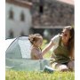 Babymoov Сгъваема кошара 3 в 1 с UV фактор 50+ Aquani, Provence