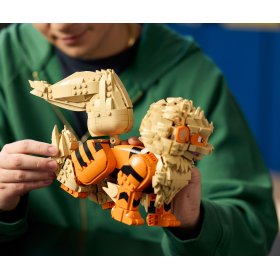 LEGO® Pokemon 72160 - Арканайн