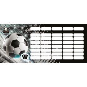 LIZZY CARD Top League FTW програма