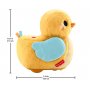 Fisher Price - Меко пате 4 в 1