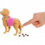 Игрален комплект Mattel Barbie Malibu кукла с куче и аксесоари, JJB46
