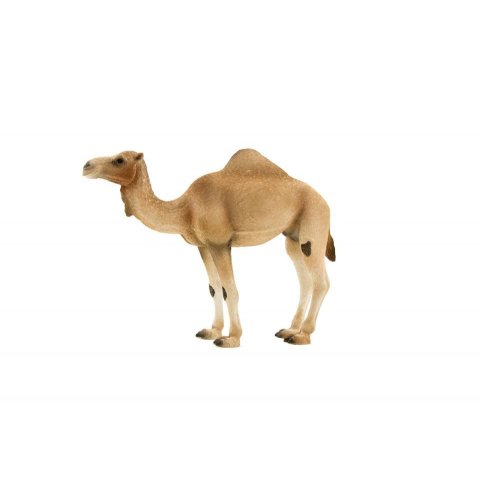 Mojo Animal Planet  - 387113