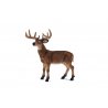 Mojo Animal Planet  - 387038