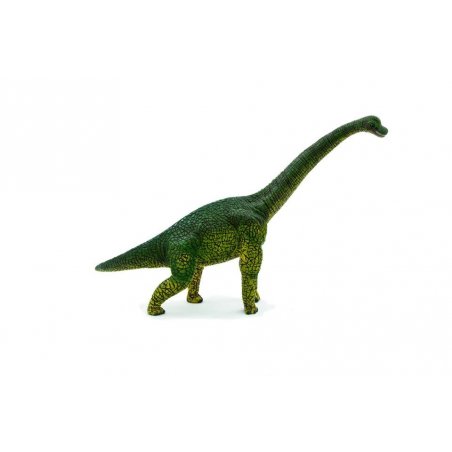 Mojo Animal Planet  - 387044