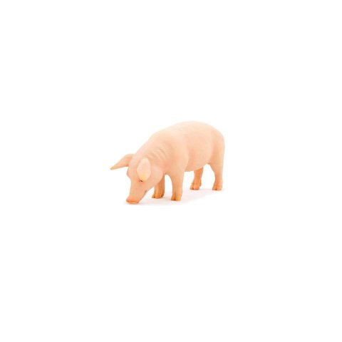 Mojo Animal Planet  - 387080
