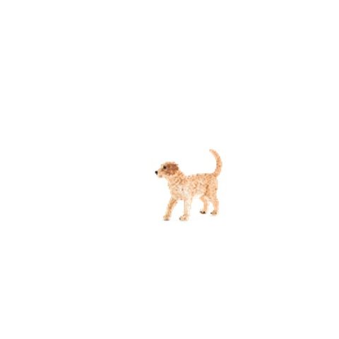 Mojo Animal Planet  - 387205
