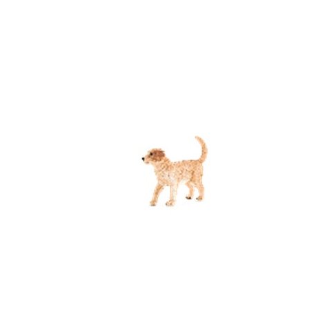 Mojo Animal Planet  - 387205