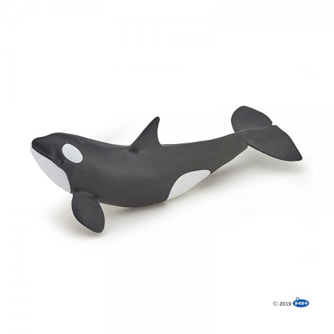 Papo - Фигурка Baby killer whale 56040