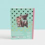 Studio Pets - А5 Книжка със стикери с кученцето Биби и котето Пейдж
