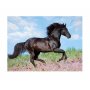 Пъзел Ravensburger 200 ел. XXL - Красив кон