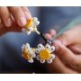 LEGO® Icons 10280 - Букет от цветя